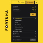 Fortuna casino