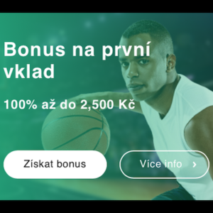Bonus K Prvnimu Vkladu