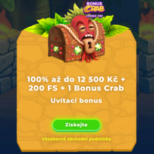 Vstupni Bonus
