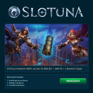 Vstupni Bonus