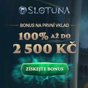 Bonus K Prvnimu Vkladu