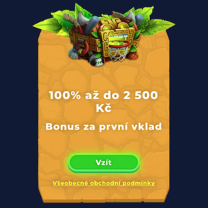 Bonus K Prvnimu Vkladu