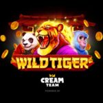 wild tiger